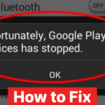 Unfortunately Google Play Store has stopped