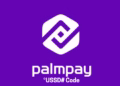 Palmpay USSD Code 1024x576 1