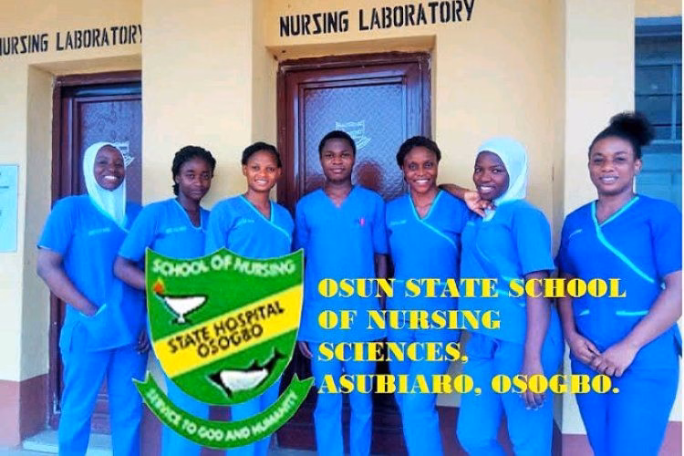 osunstatecollegeofnursingsciences28osogbo297153990650188795499